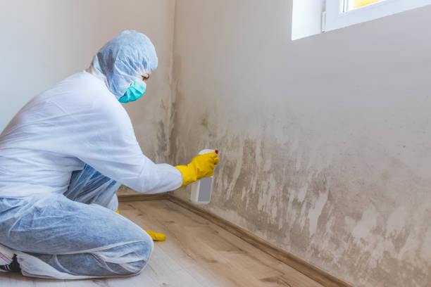 Licensed Commercial Mold Remediation service in Murfreesboro, TN - WQB Mold Removal
