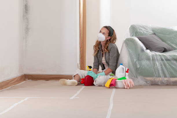 Reliable Commercial Mold Remediation contractor in Murfreesboro, TN by WQB Mold Removal